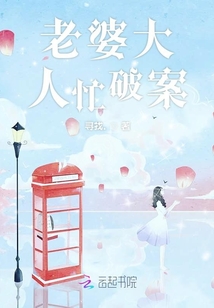 老婆大人忙破案