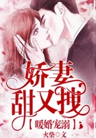 暖婚宠溺:娇妻甜又拽!在线阅读