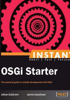 INSTANT OSGi Starter在线阅读