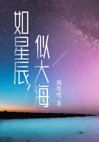 如星辰，似大海