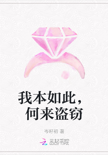 我本如此，何來盜竊