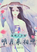 深林人不知明月来相照