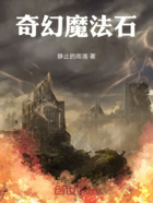 奇幻魔法石在线阅读