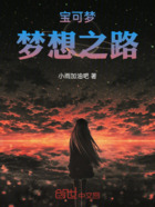 宝可梦:梦想之路
