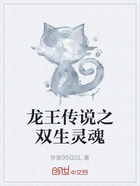 龙王传说之双生灵魂在线阅读