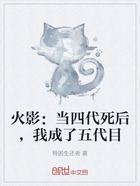 火影:当四代死后,我成了五代目在线阅读