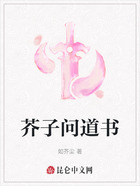 芥子问道书在线阅读