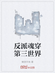 反派魂穿第三世界