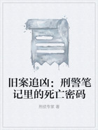 舊案追兇：刑警筆記里的死亡密碼在線閱讀