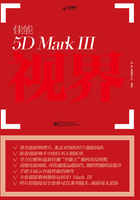 佳能5D Mark Ⅲ视界