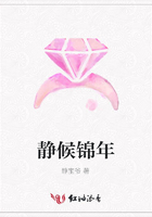 靜候錦年在線閱讀
