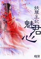 妖孽王妃魅君心在線閱讀