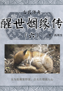 古代傳奇：醒世姻緣傳（六）