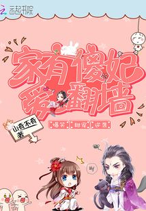 家有傻妃愛翻墻