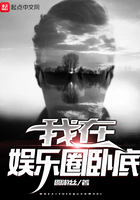 我在娱乐圈卧底