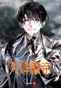 天降豪帝