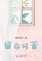 留恋何苦在线阅读