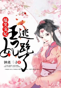爆笑寵妃王妃逃跑了