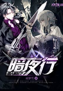 獵人崛起之暗夜行
