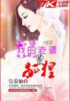 我的老婆是狐狸在线阅读