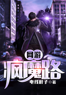 网游疯魔路