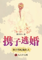 携子逃婚,厉少的私婚夫人