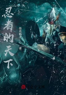 忍者的天下