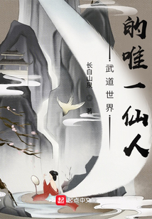 武道世界的唯一仙人