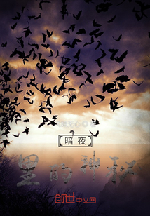 暗夜里的神秘