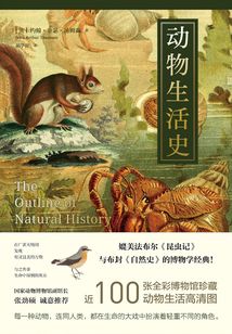 動物生活史