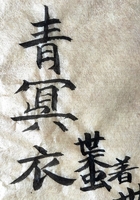 青冥衣在線閱讀