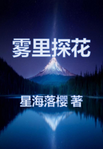 霧里探花