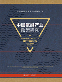 中國氫能產業政策研究