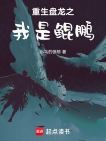 重生盤龍之我是鯤鵬