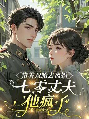 带着双胎去离婚,七零丈夫他疯了在线阅读