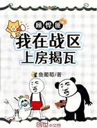 顧悍匪：我在戰區上房揭瓦在線閱讀