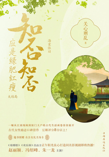 海棠依旧:知否?知否?应是绿肥红瘦(陆)
