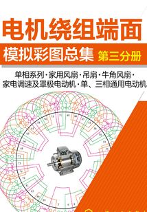 電機繞組端面模擬彩圖總集（第三分冊）