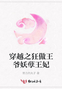 穿越之狂傲王爺妖孽王妃