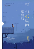 華燈星橋耀百枝在線閱讀