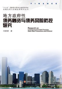 地方政府性債務(wù)融資與債務(wù)風(fēng)險(xiǎn)防控研究