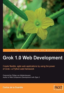 Grok 1.0 Web Development