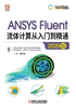 ANSYS Fluent流体计算从入门到精通（2020版）