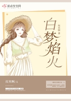 白夢(mèng)焰火在線(xiàn)閱讀