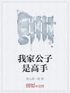我家公子是高手在线阅读