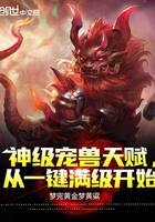神级宠兽天赋,从一键满级开始