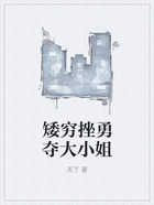 矮窮挫勇奪大小姐在線閱讀