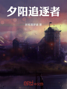 夕陽追逐者
