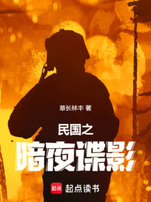 民國之暗夜諜影