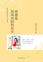 青春文学精品集萃丛书·希望系列:希望是迎风向阳的微笑在线阅读